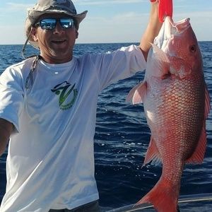 Meet your Posher, Steve